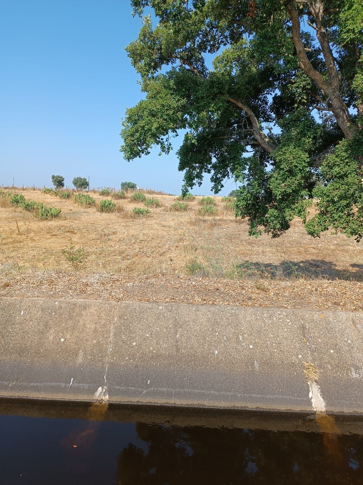 Herdade de 27 hectares
