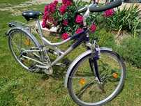 Rower Treking Star 28"
