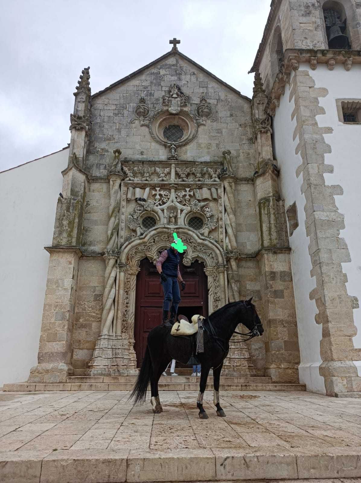 Cavalo preto cruzado lusitano