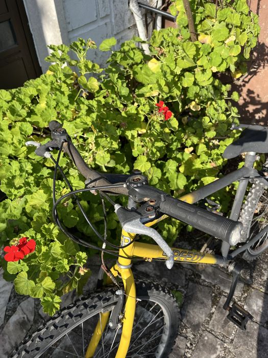 Bicicleta desportiva unisexo - estilo moderno