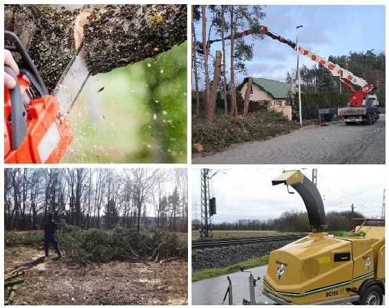 Przycinka gałęzi drzew Czyszczenie działek Rębak Podnośnik 40m 18m