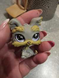 Piesek LPS littlest pet shop