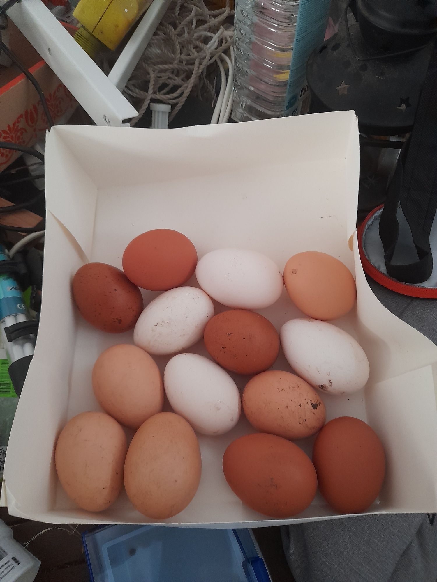 Vendo ovos caseiros