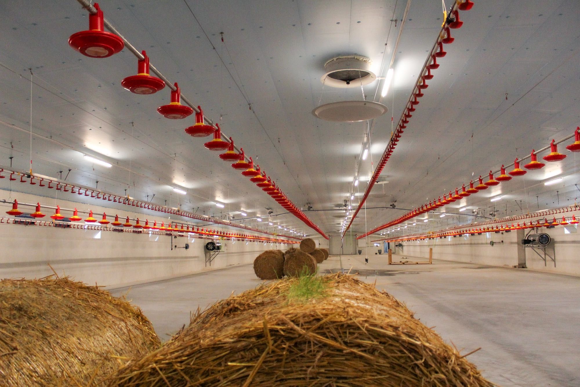 Płyta Wyciepleniowa Podkrokwiowa do Wiaty Hali Panel Styrodur XPS AGRO