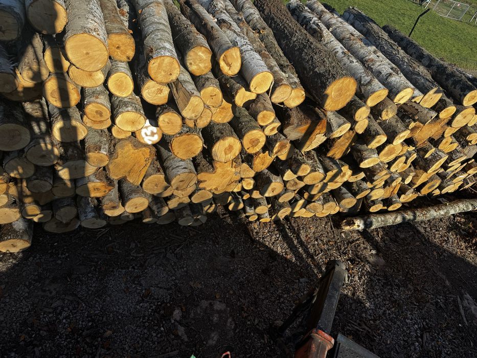 Drewno  Kominkowe Opałowe  BRZOZA !!!