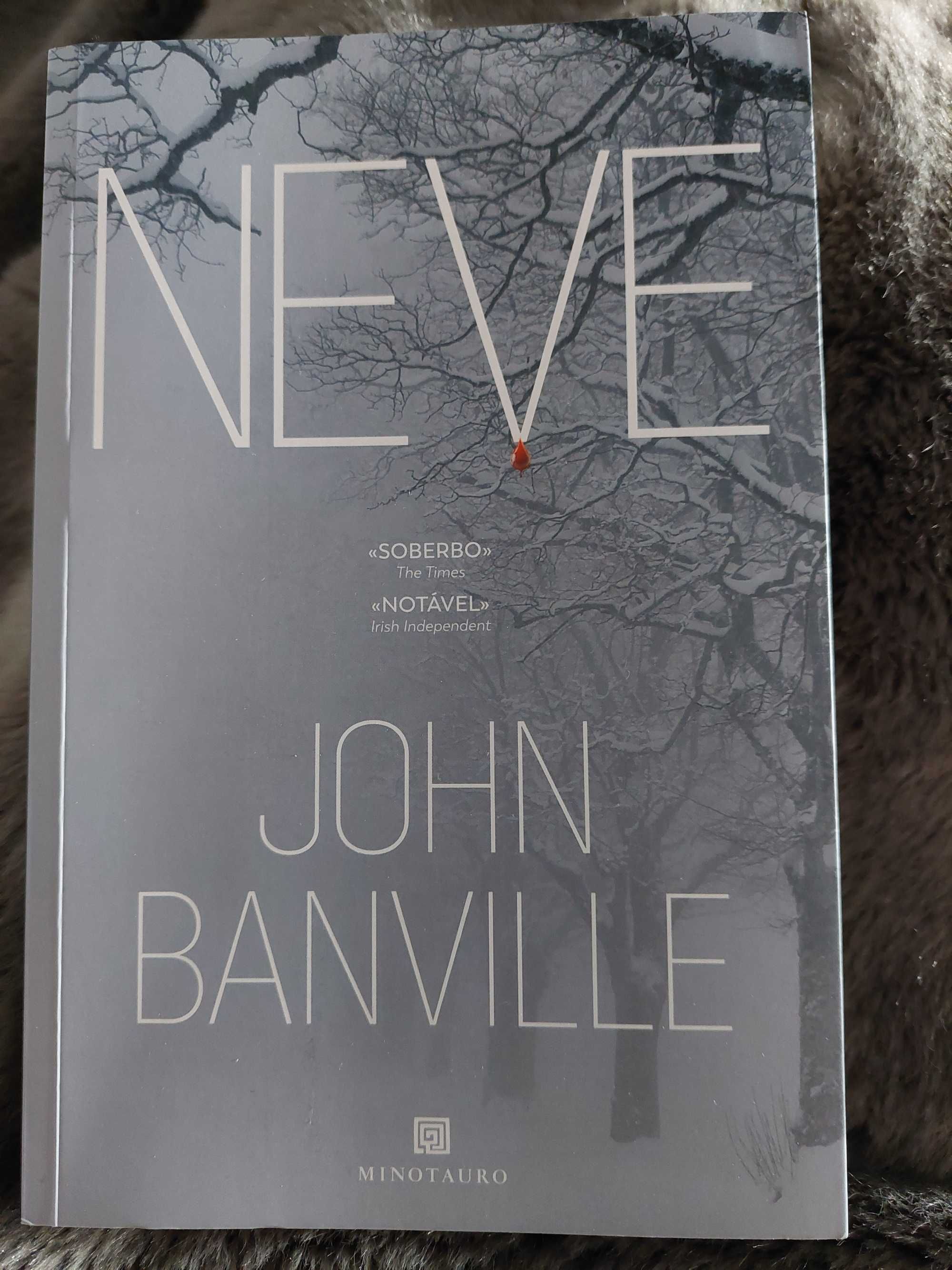 Livro "Neve", John Banville