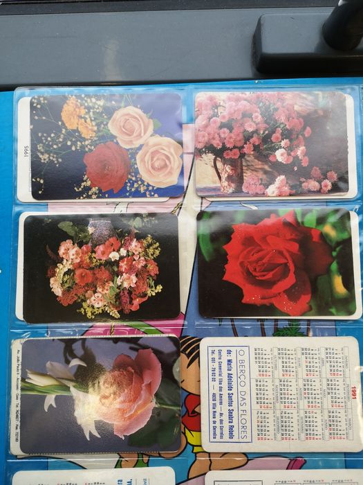 Calendário de Bolso - Flores e Plantas;
