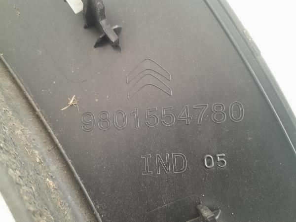 Plástico genérico CITROËN C4 Cactus