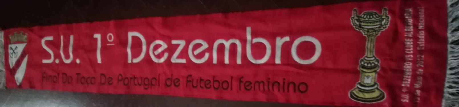 Cachecol 1 de Dezembro