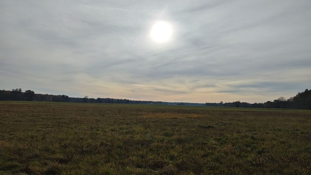 Działka budowlana Jaźwiny k. Trzebnicy | Blisko lasu
