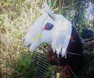 Sprzedam Hobby horse