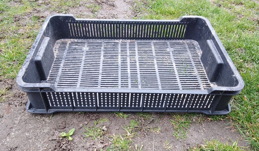 skrzynki/platony na owoce