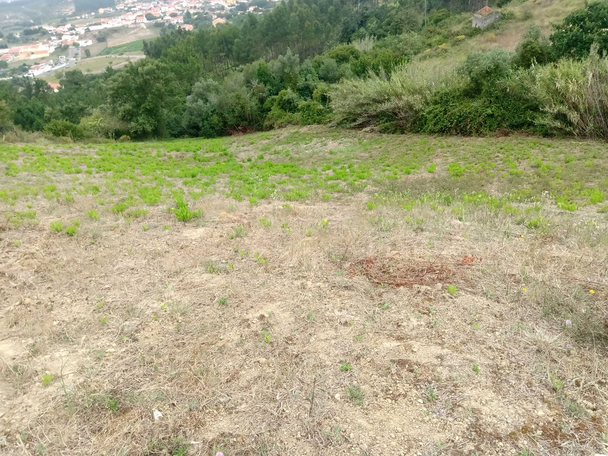 Vendo terreno rustico