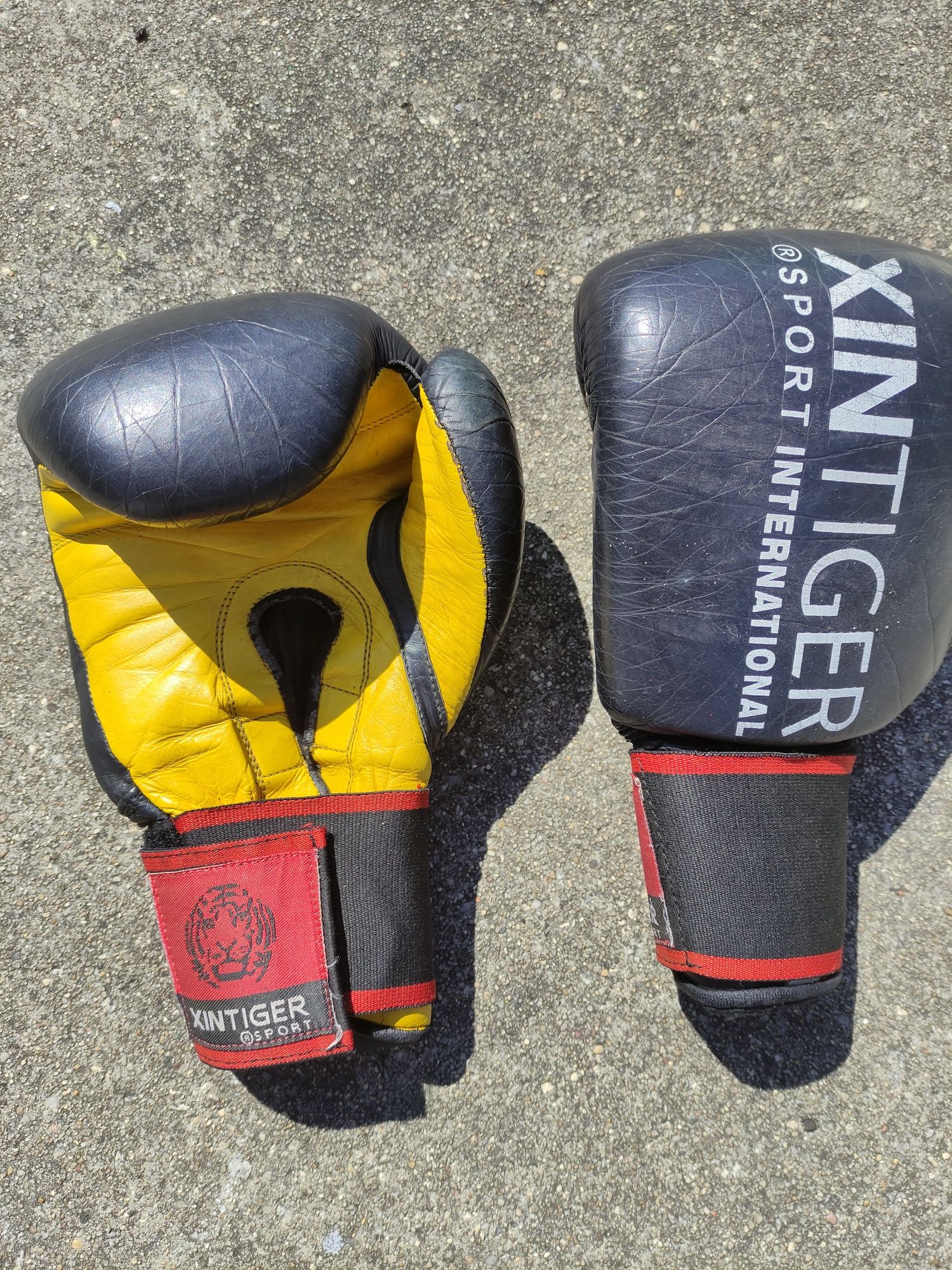 Luvas de Boxe Xintiger Sport
