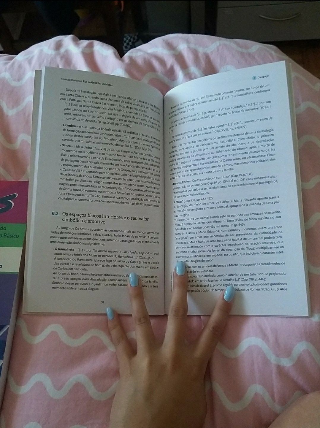 Livro resumos - Os Maias 11°