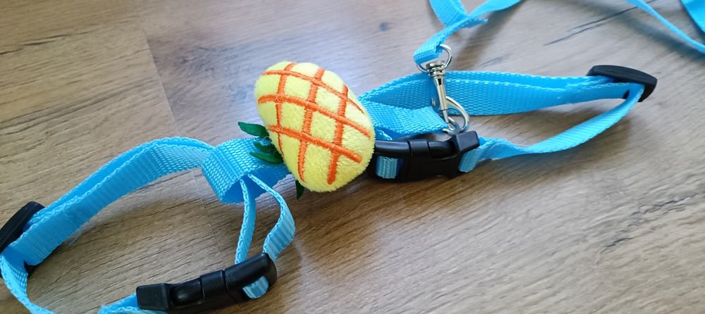 Smycz szelki dla małego zwierzątka.