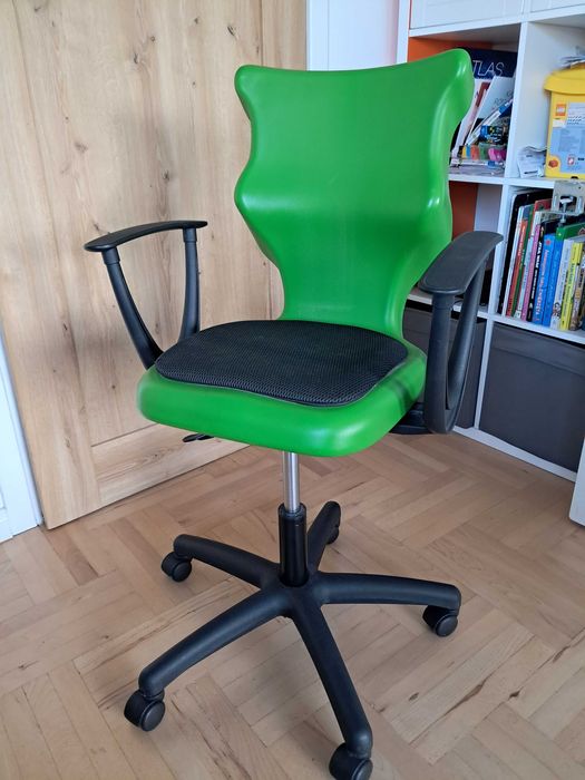 Ergonomiczne krzesło Entelo Twist z podłokietnikami