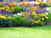 Usługi ogrodnicze pielęgnacja ogrodów - zadbany ogród przez cały rok
