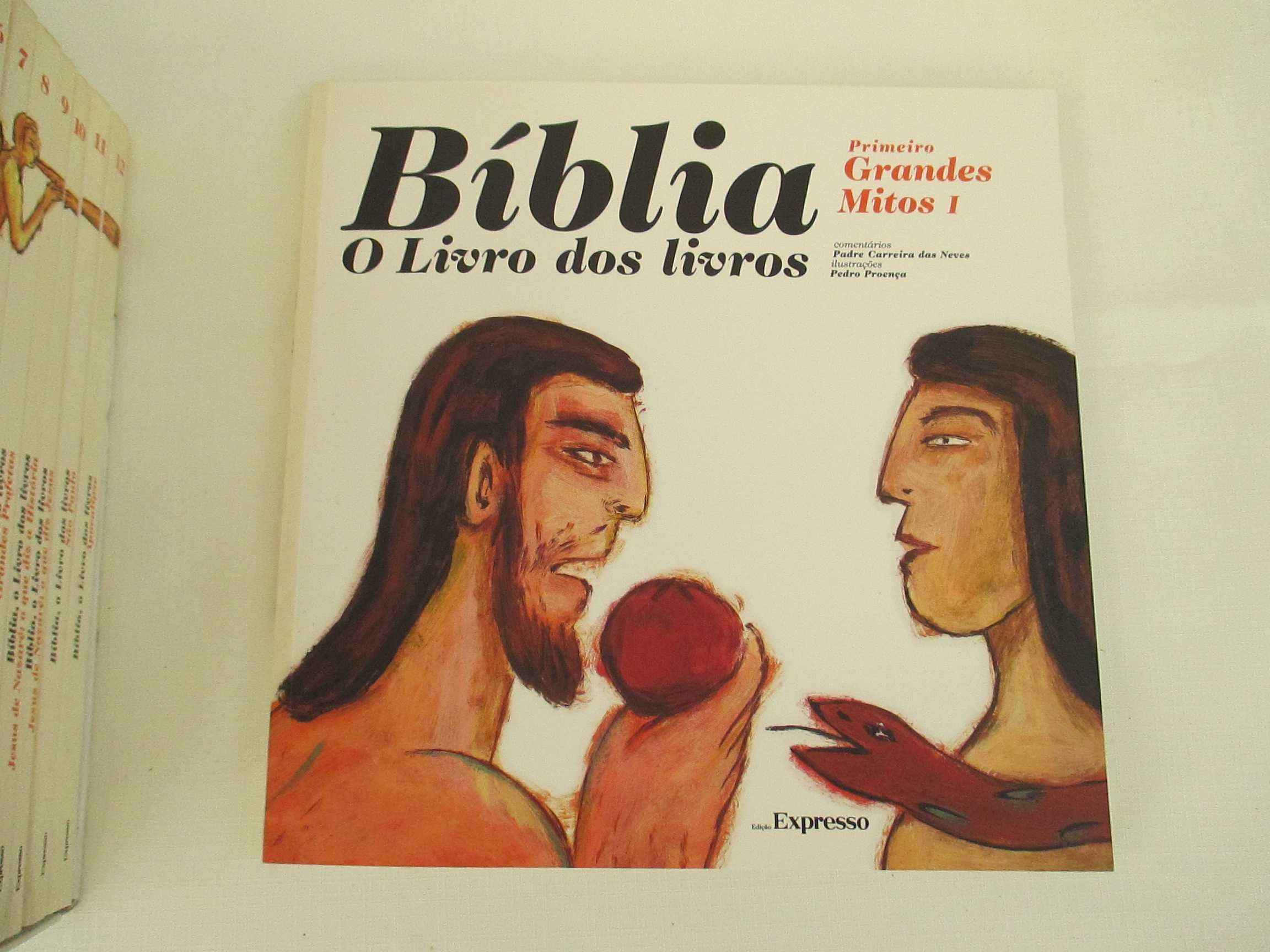 Biblia o Livro dos Livros ( Colecção 10 Livros )