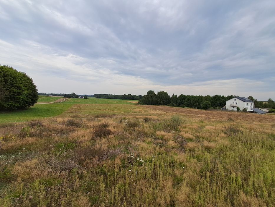 Budowlana działka Rybno!