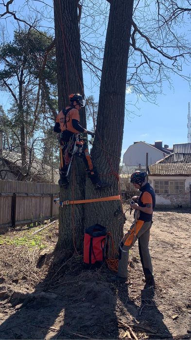 Видалення дерев,Спил дерев,Зрізання дерев,Кронування пнів