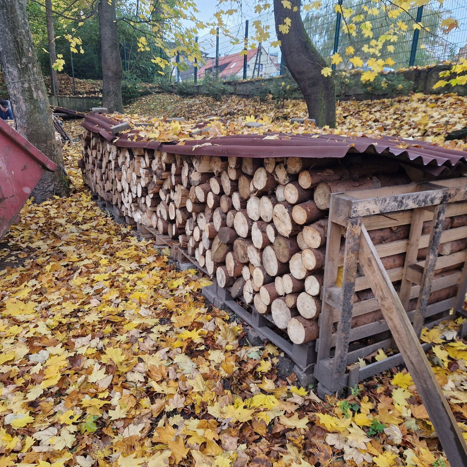 Drzewo drewno opałowe świerkowe