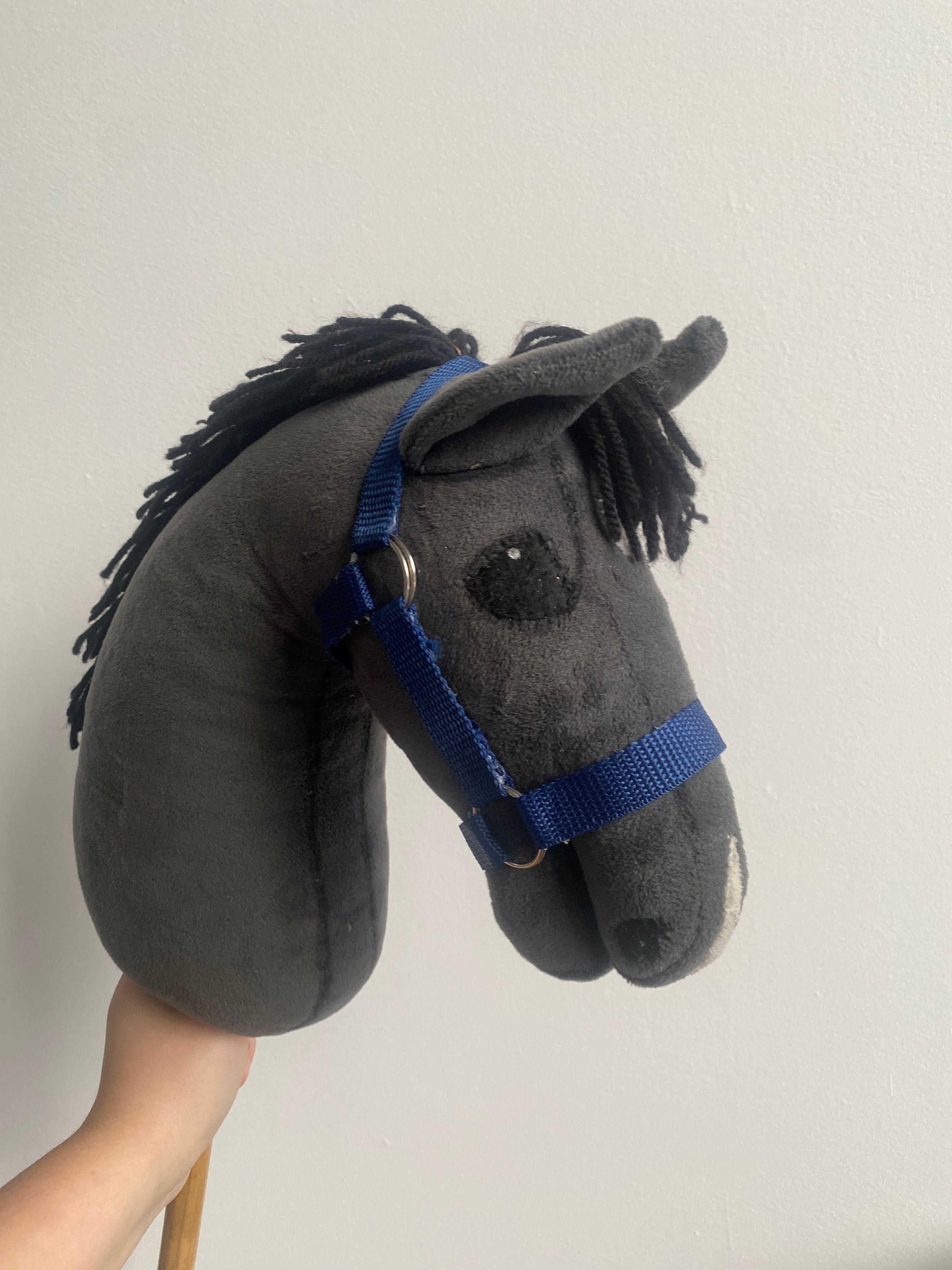 Sprzęt dla hobby horse