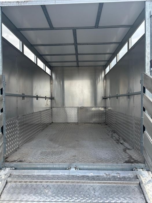 Renault master do przewozu zwierząt bydła