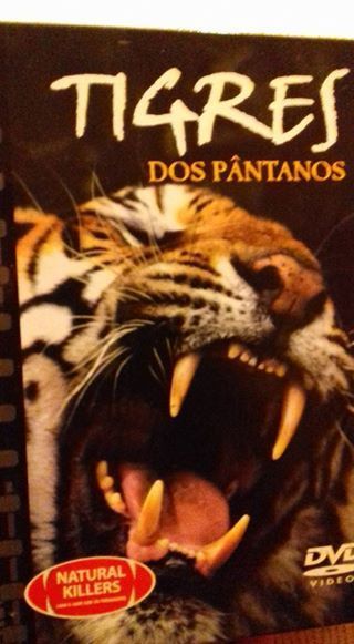 DVD Tigres dos Pântanos