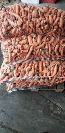 Marchew ziemniaki buraki paszowe odpadowe transport dowóz