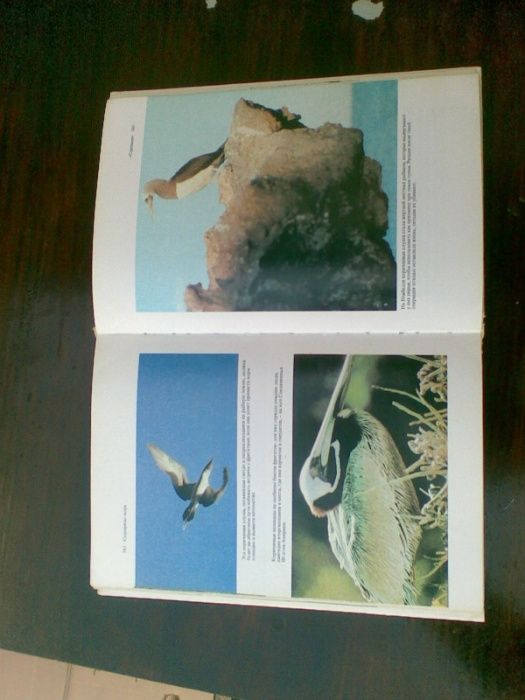 Книга о Жаке Иве Кусто