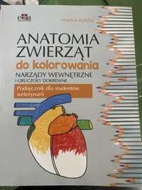 Anatomia zwierzat do kolorowania narzady wewnetrzne