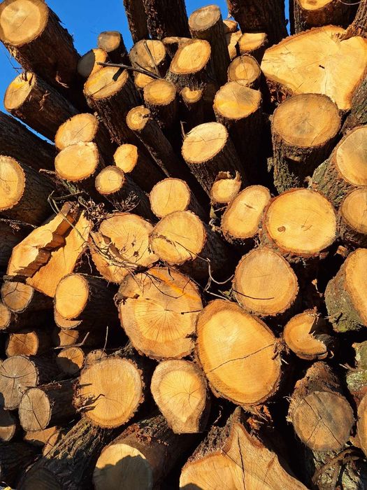 Drewno Opałowe Kominkowe Sosna Brzoza Dąb Buk Grab Transport