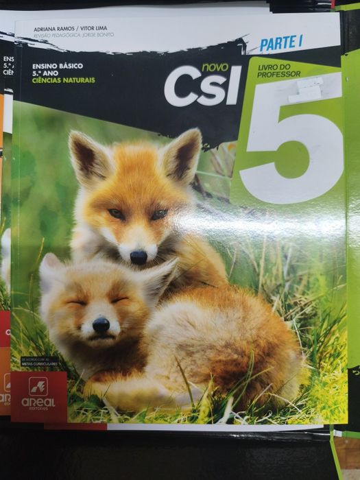 CSI 5 (manual, ca e dossier do professor) COM SOLUÇÕES