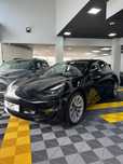 Tesla Model 3 Long Range Tração Integral