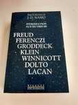 livro em francês psicanálise