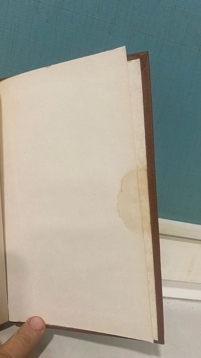 Ирвинг Стоун - Жажда Жизни