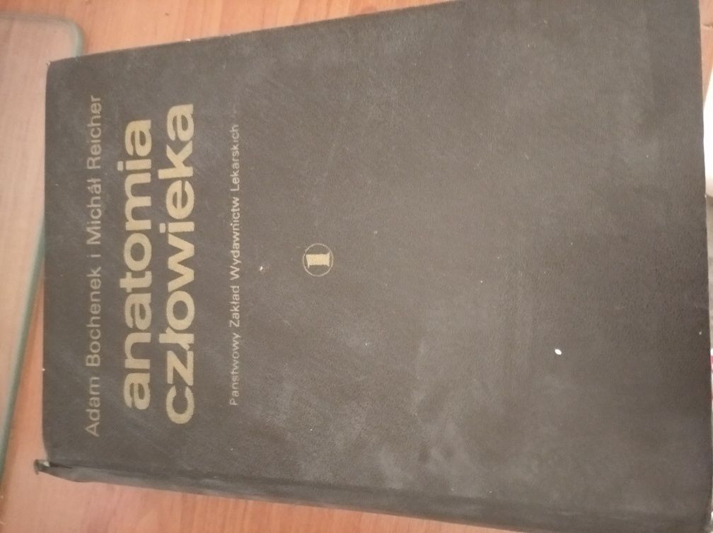 Książka anatomia człowieka