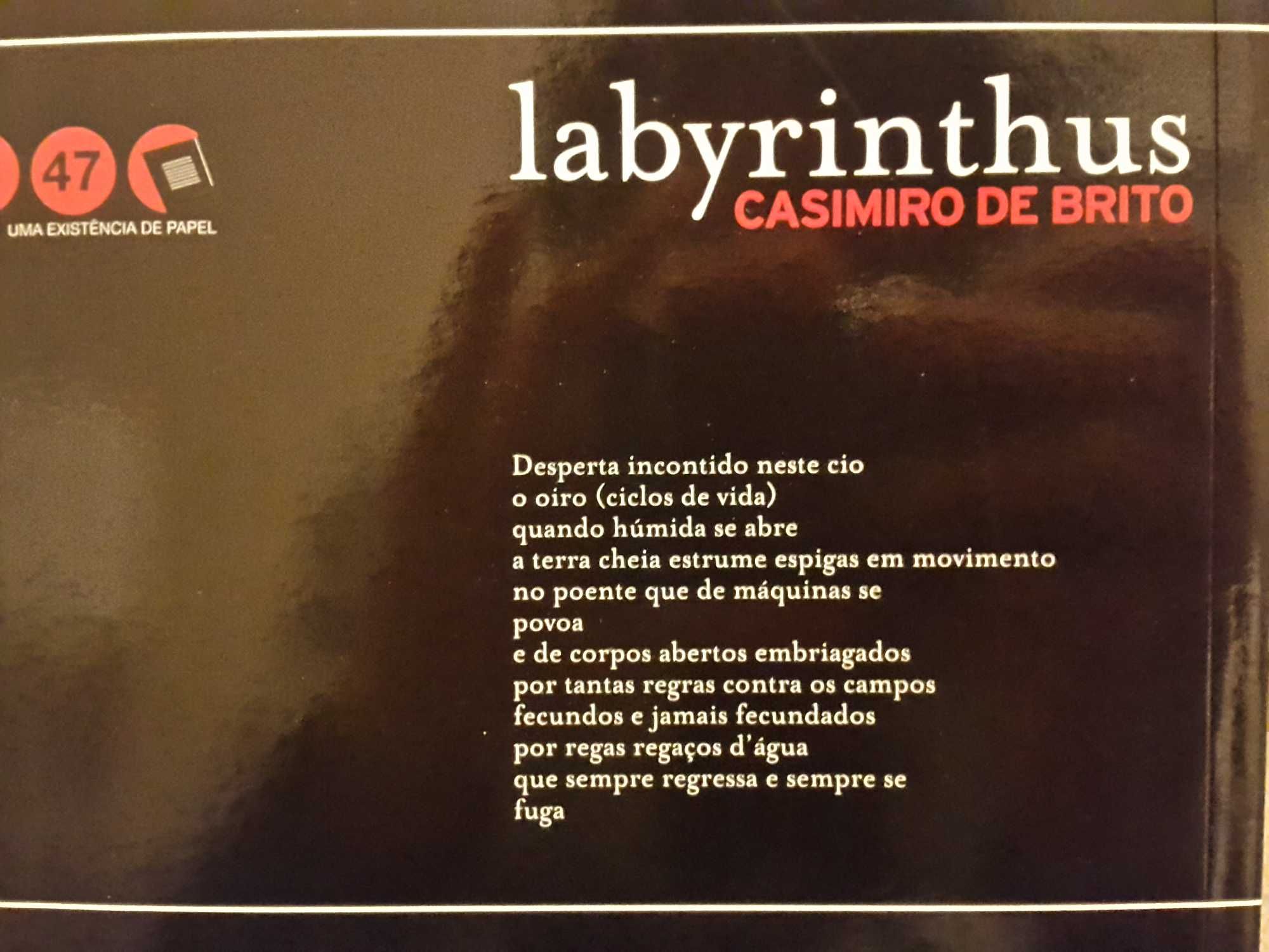 Casimiro de Brito - Labyrinthus