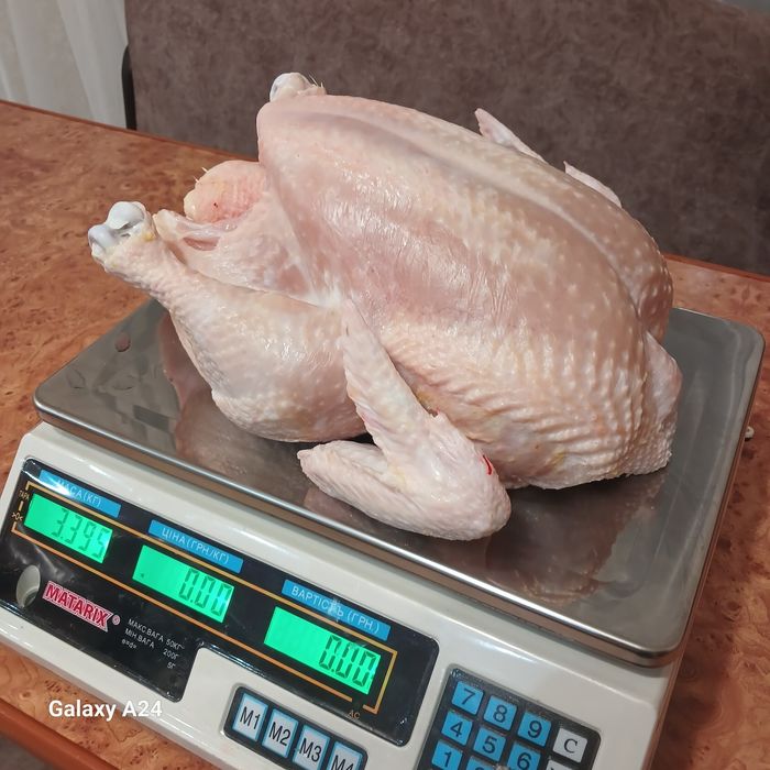 Тушки  бройлера домашні кури