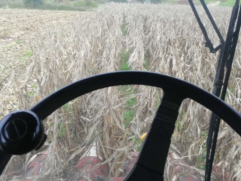 Ceifeira debulhadora fiatagri 3700