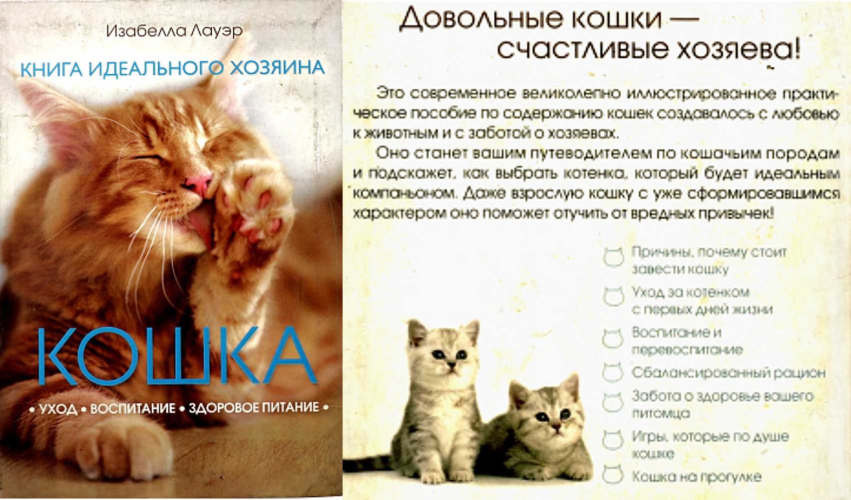 Подборка литературы о Кошках и других животных Подборка 2