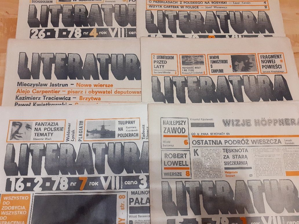 Literatura-gazeta