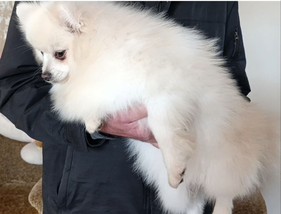 Дівчинка підрощена