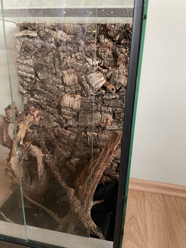 Terrarium z wyposażeniem pionowe 40/40/60