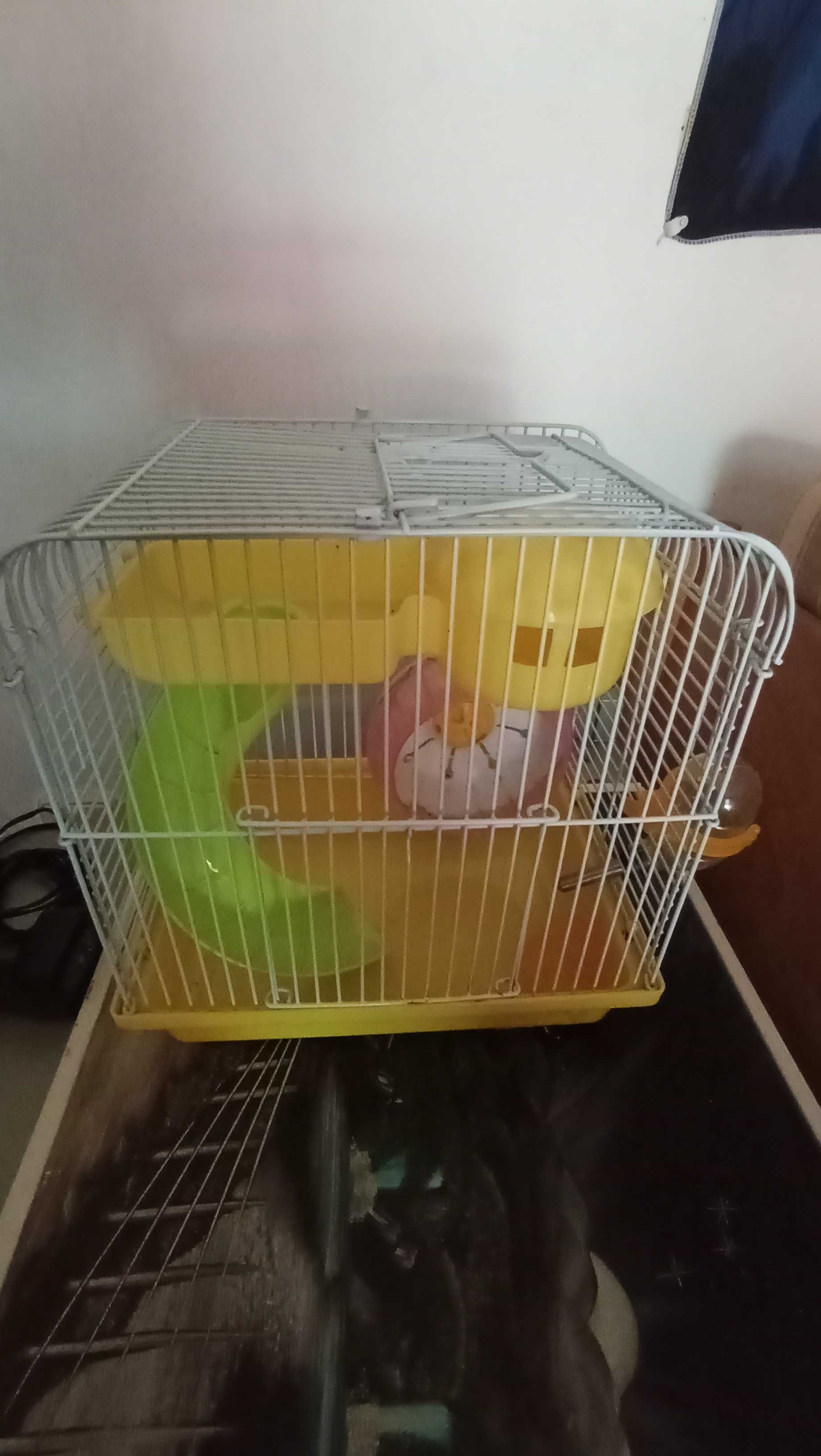 Gaiola para hamster