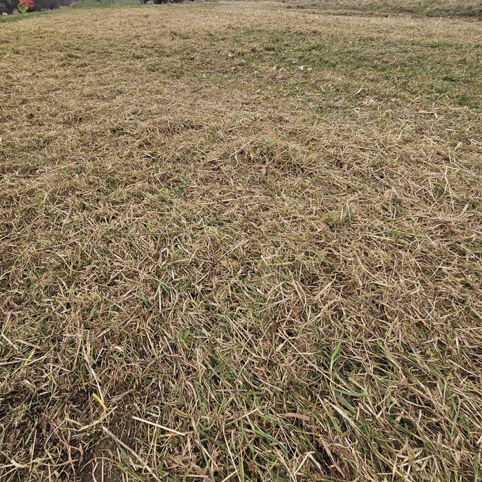 Usługi koszenia/karczowania mulczerem/kosiarką bijakową