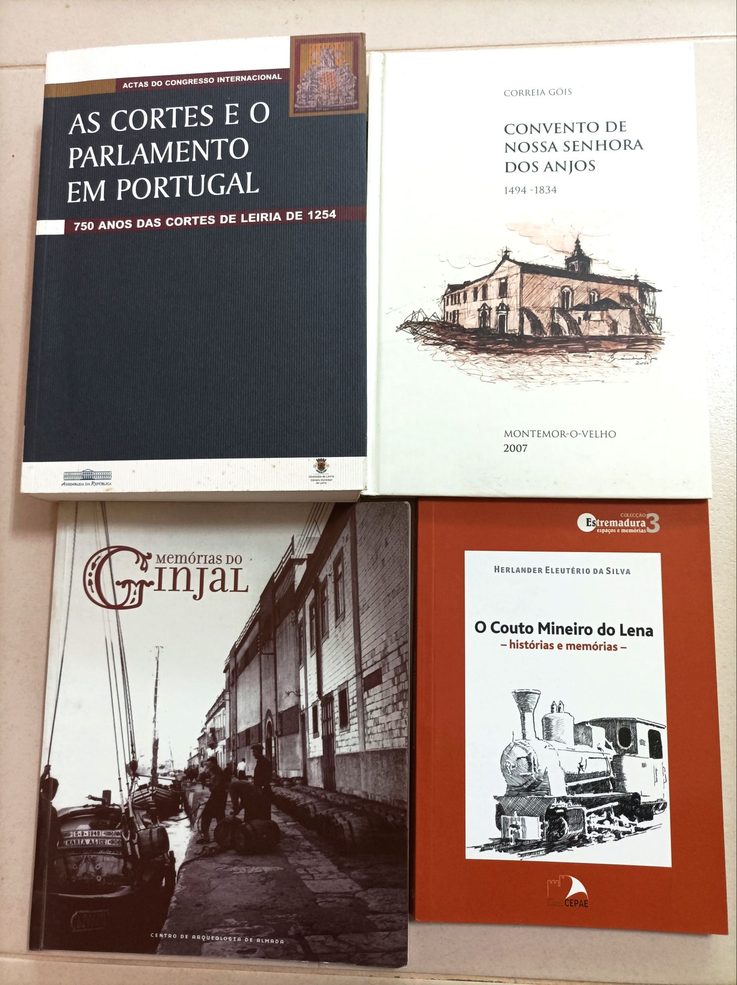 Livros de âmbito Regional (História / Tradições / Património)