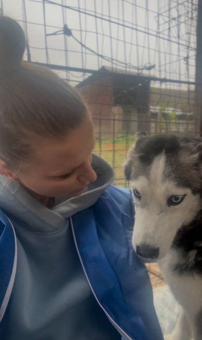 Хаскі Барбі шукає родину