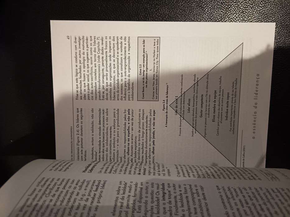 A Essência da Liderança